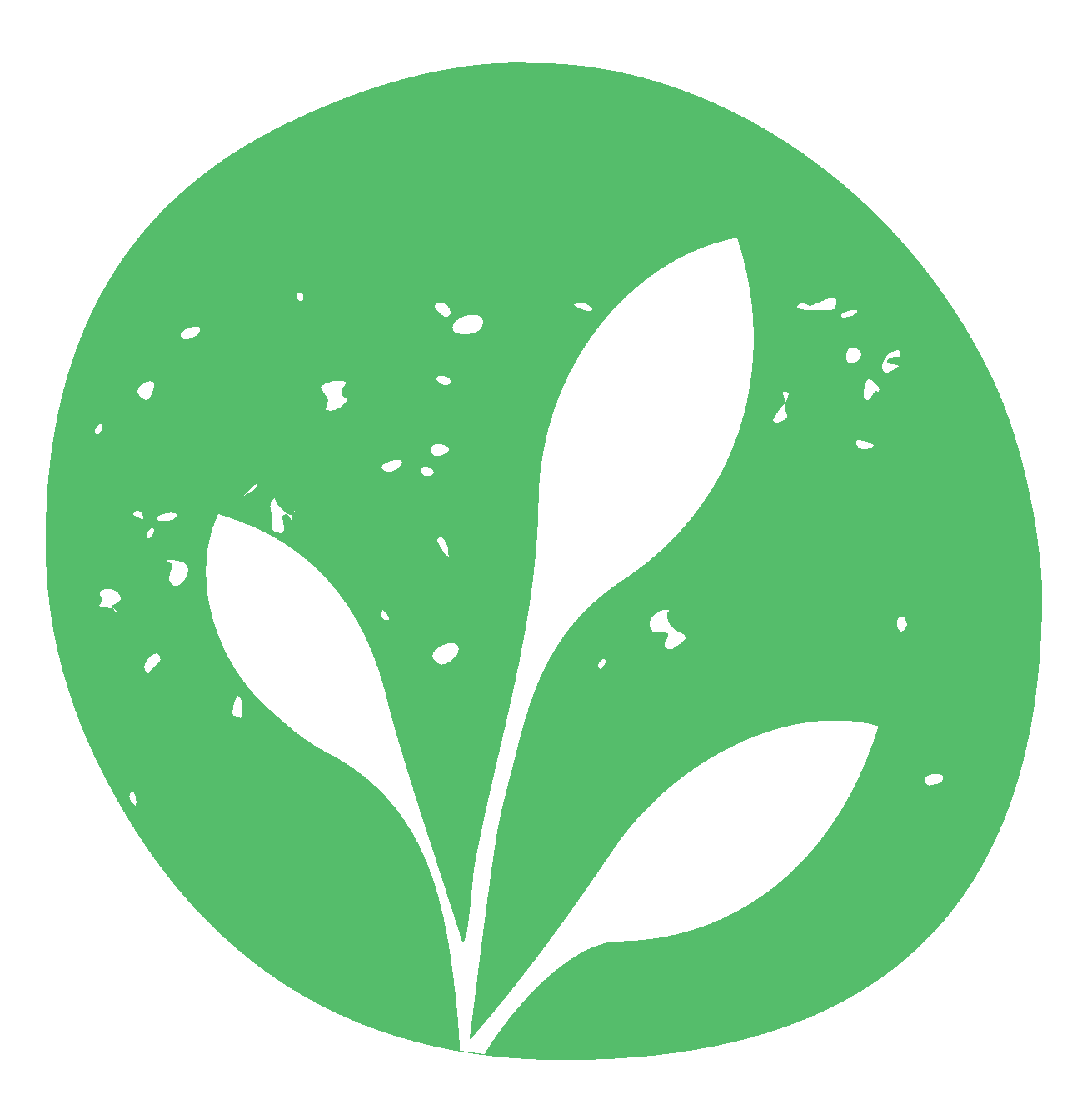 florafoodgroup.com Icon